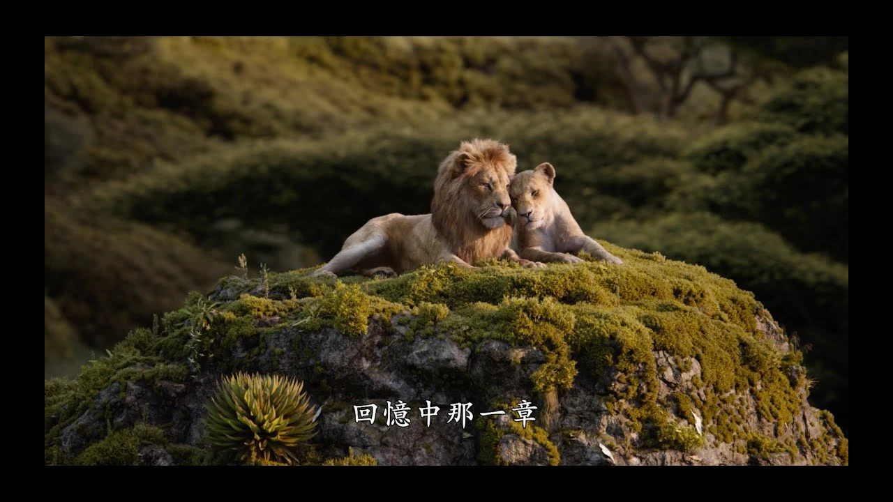 [電影預告] 迪士尼 《獅子王》The Lion King - 香港宣傳片 “Love”   (中文字幕）